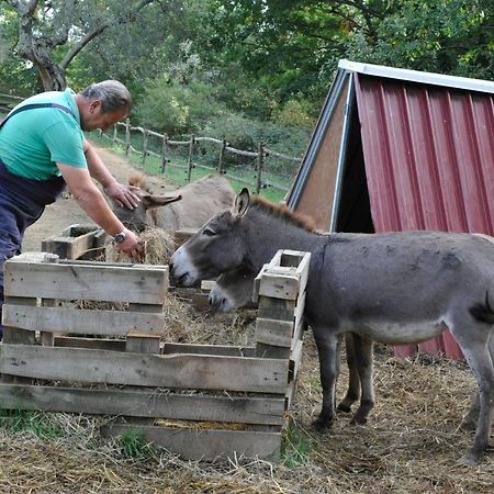 Agriturismo L'Accolta Tuoro sul Trasimeno Εξωτερικό φωτογραφία