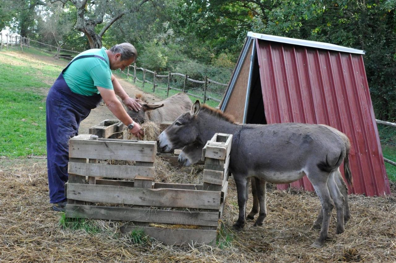 Agriturismo L'Accolta Tuoro sul Trasimeno Εξωτερικό φωτογραφία